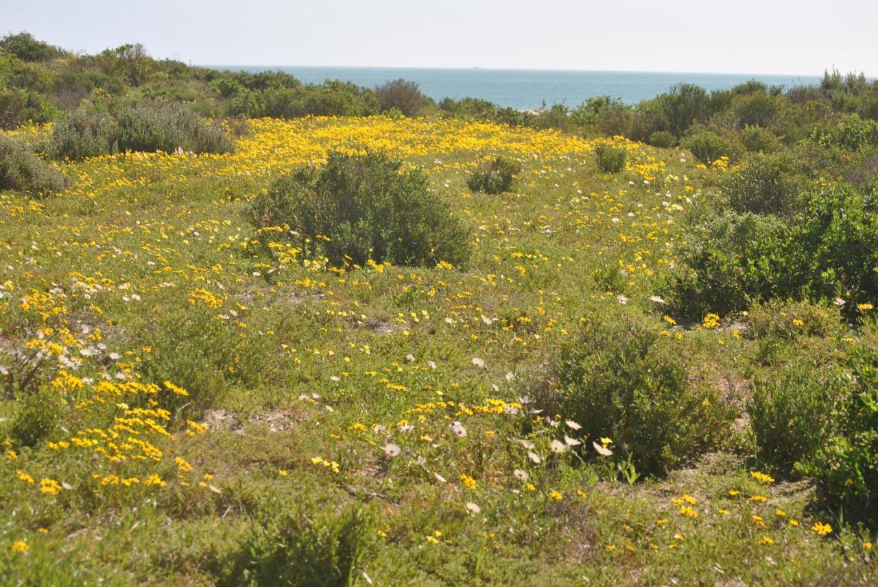 Stay At Bokkoms In Paternoster Self Catering Accommodation Luaran gambar