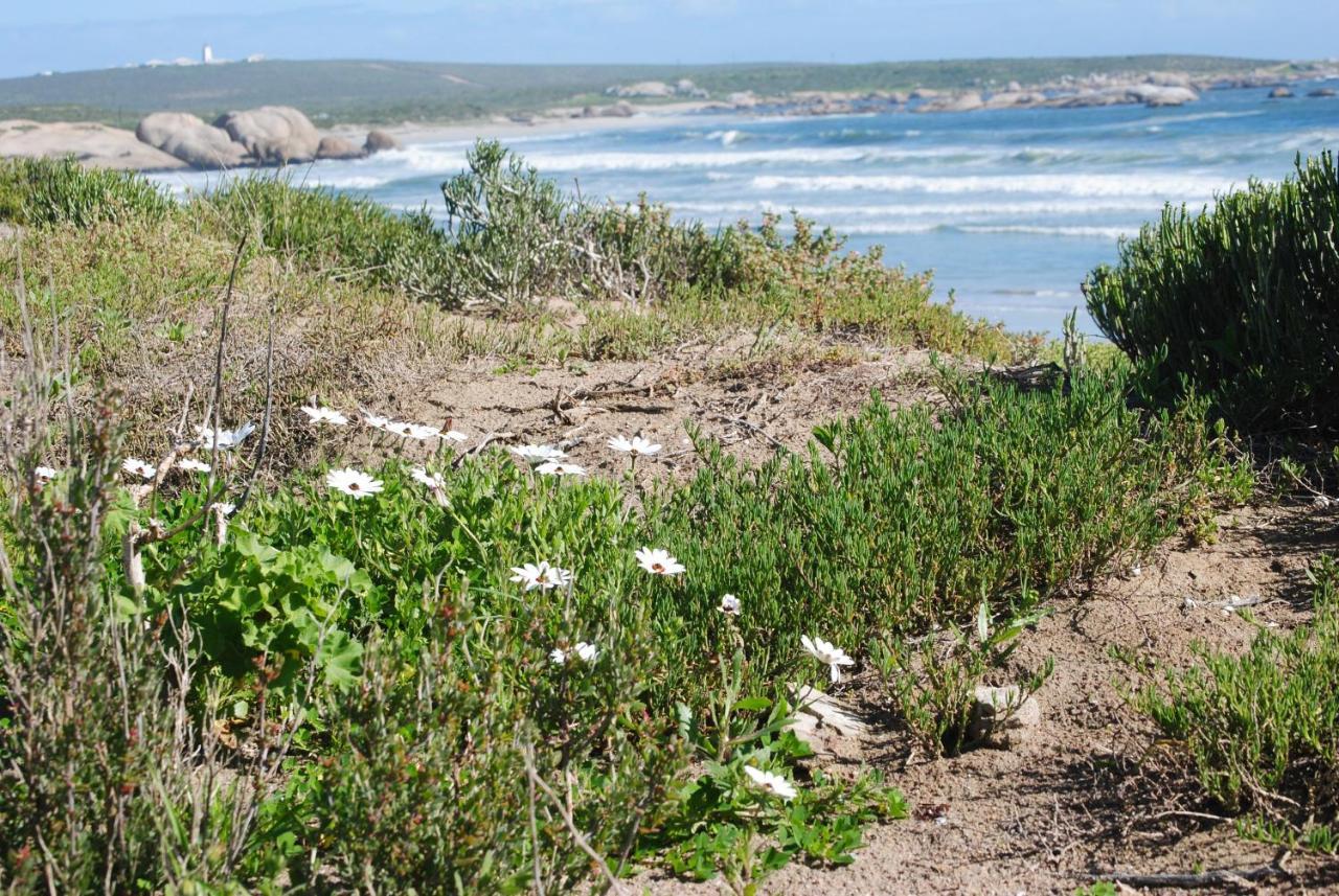 Stay At Bokkoms In Paternoster Self Catering Accommodation Luaran gambar