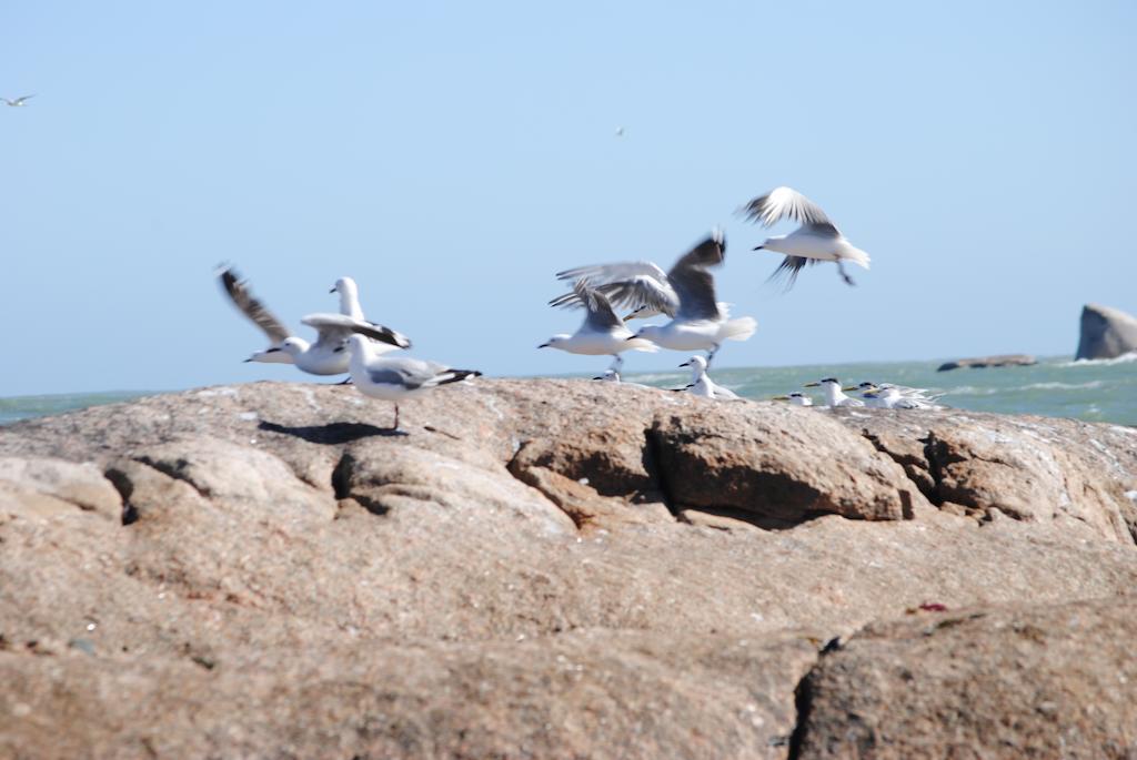 Stay At Bokkoms In Paternoster Self Catering Accommodation Luaran gambar