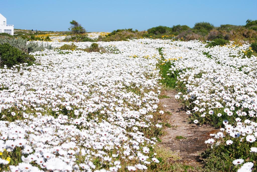 Stay At Bokkoms In Paternoster Self Catering Accommodation Luaran gambar